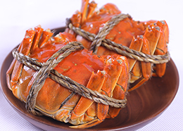 苏州阳澄湖大闸蟹-母蟹